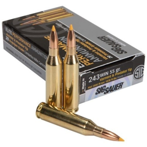 Sig Sauer Hunting 243 Winchester 20rd Ammo
