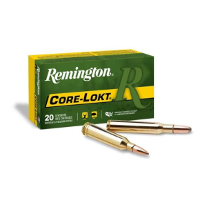 300 SAVAGE REMINGTON CORE LOKT R30SV2
