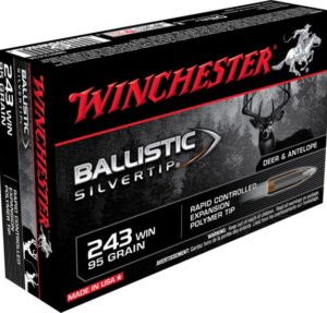Buy Winchester Ballistic-Silvertip 95