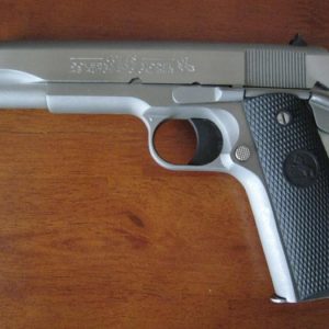 COLT GOVERNMENT MODEL  STAINLESS STEEL 45 ACP