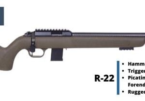 DIANA R22 BOLT-ACTION RIFLE – .22LR, 18.5″. Carbon Fiber