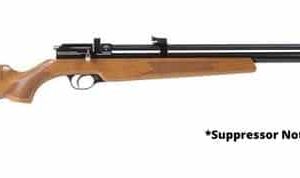 Diana Stormrider  495 FPS  22 LR